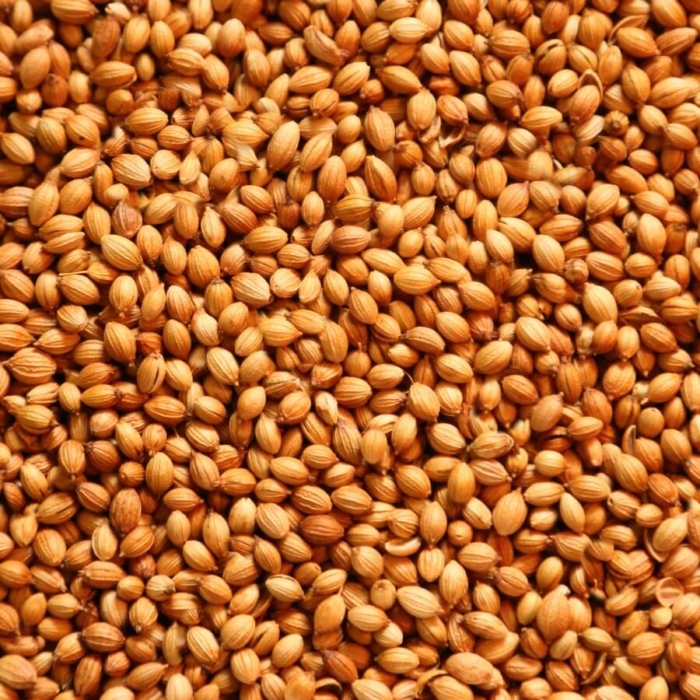 Golden Coriander Seeds (Dhaniya)