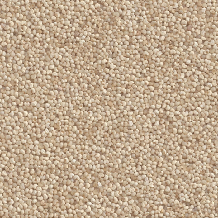 Poppy Seeds (KhasKhas)