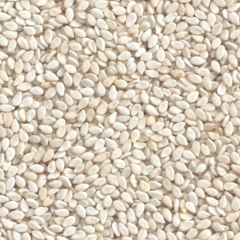 White Sesame Seeds (Til) Bora Foods Sesame Seeds, Oilseeds, Spices